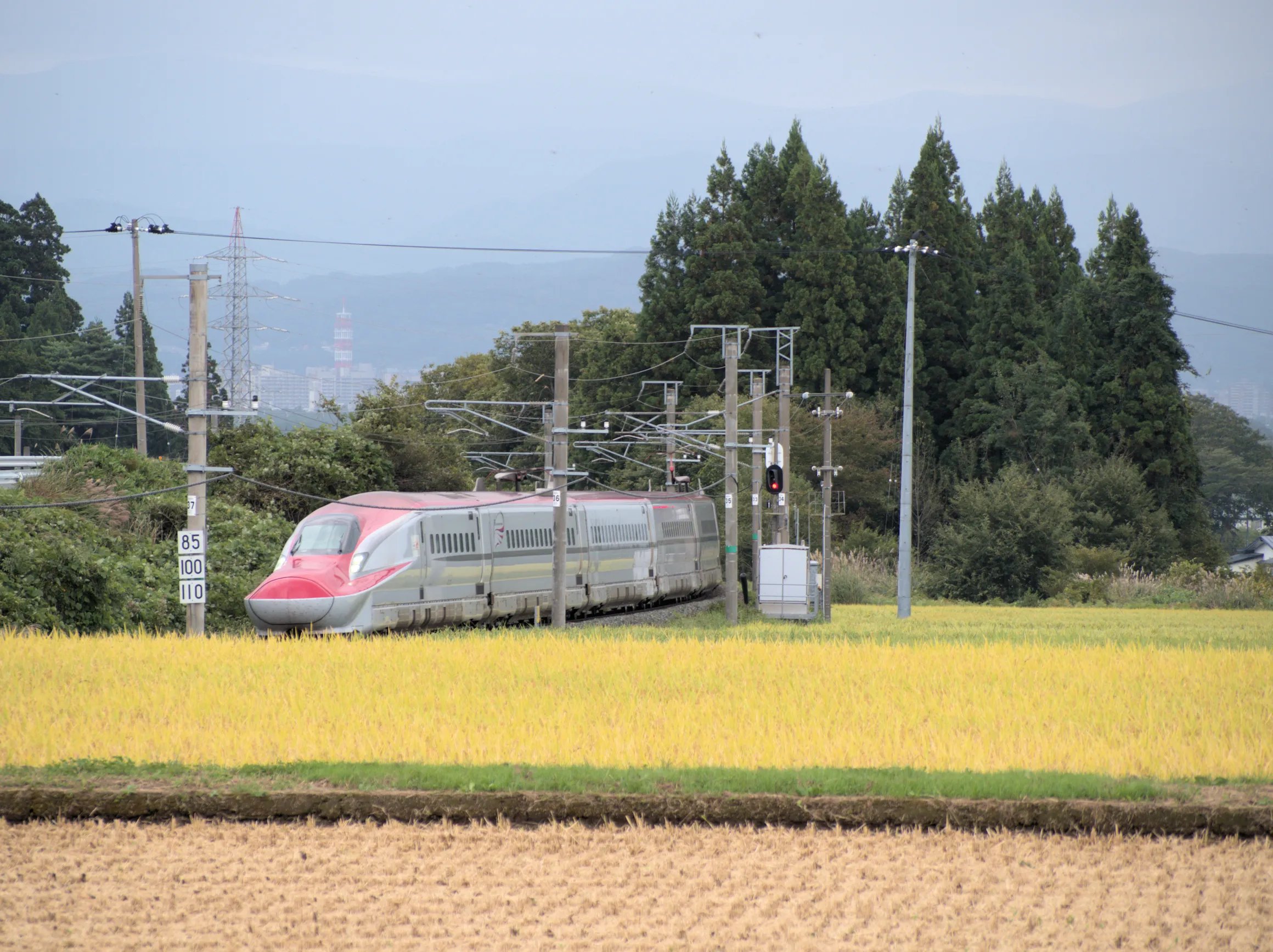 🏞️ 동광산 공원 (토코잔 코엔) 이미지 9